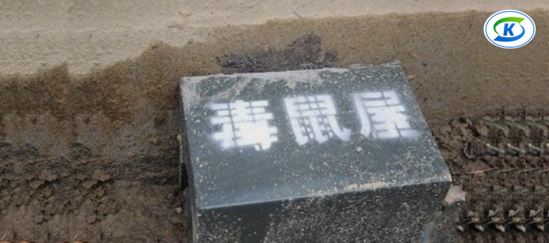 商超、連鎖業(yè)蟲害防治(圖4)