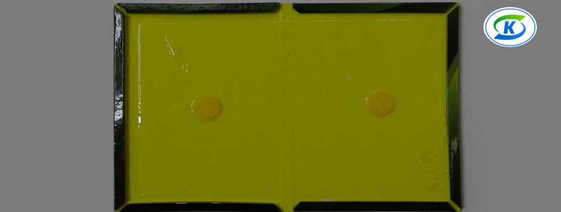 商超、連鎖業(yè)蟲害防治(圖5)