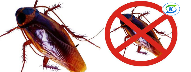 商超、連鎖業(yè)蟲害防治(圖10)